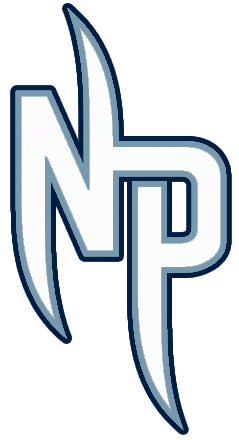 Nashville Predators 2009-2011 Alternate Logo iron on transfers for fabric